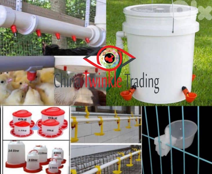 مستلزمات الطيور وقطع الفقاسات فقاسة جاهزة 15