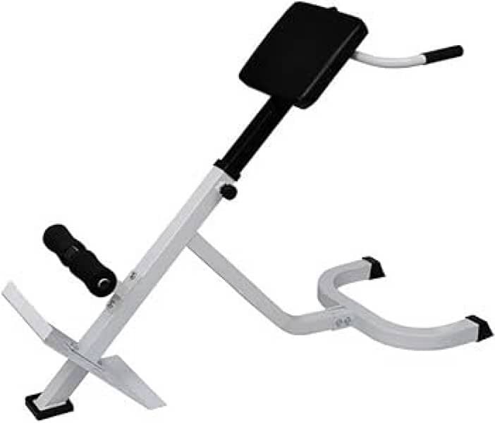 back extension 0