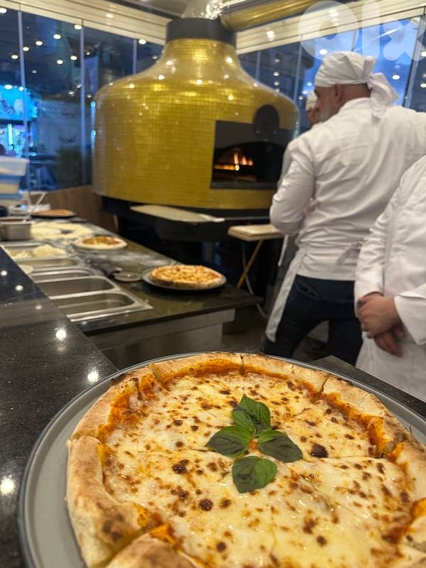 فرن بيتزا حطب و غاز ، gas and wood pizza oven 13