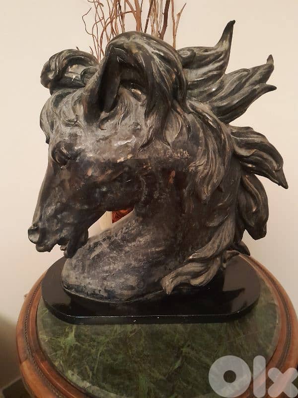 حصان رزين معتق 0