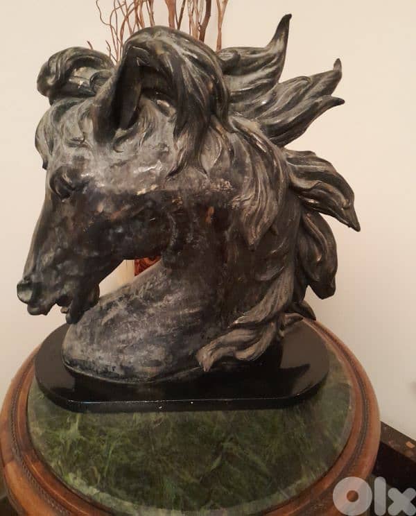 حصان رزين معتق 1