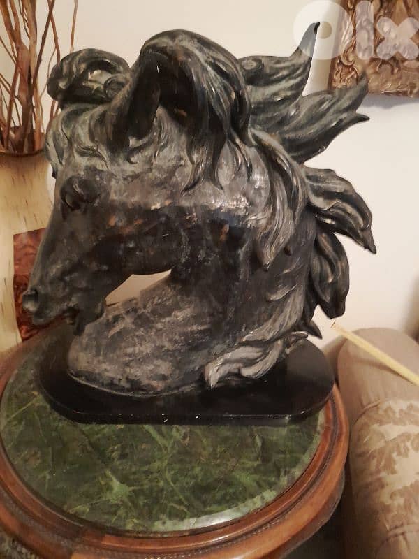 حصان رزين معتق 2