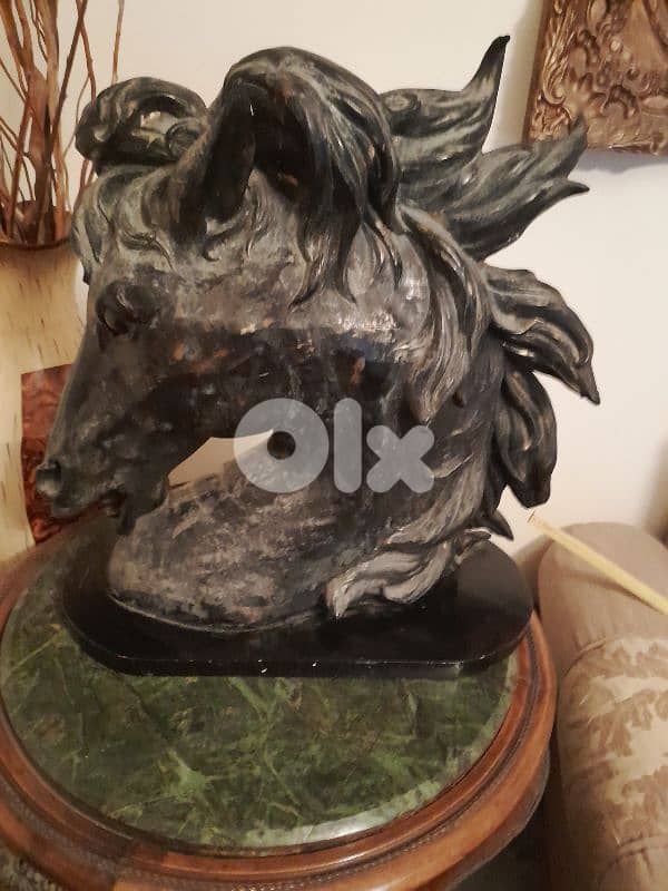 حصان رزين معتق 3