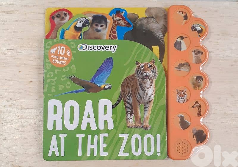 Roar At The Zoo Educational Book. 0