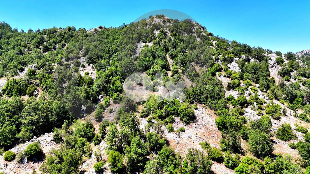 LAKLOUK LAND WARDIAT UNDER MARKET PRICE OPEN VIEW REF#JE123374 1