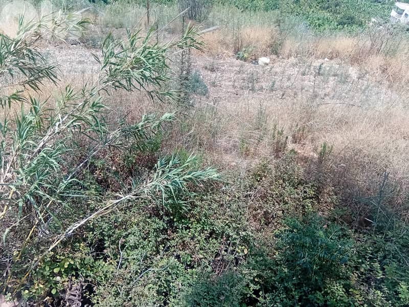 RWB136EG - Land for sale in Halat Jbeil 1