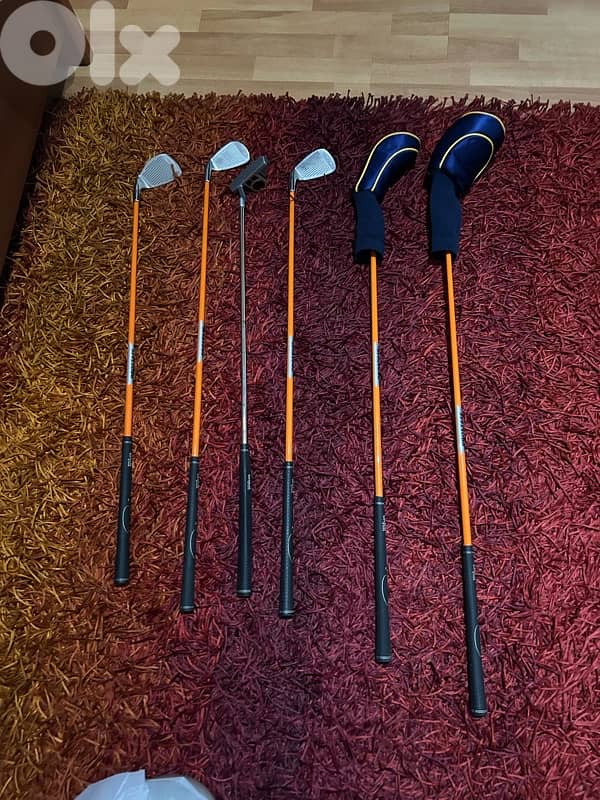 Genuine Leather Golf Bag with Bats 5