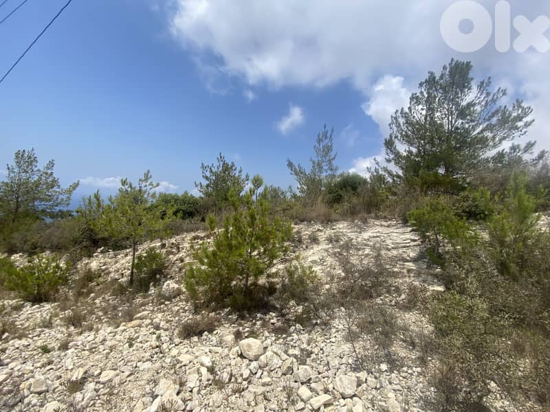 RWB141EG - Land for sale in Halat - Jbeil 2
