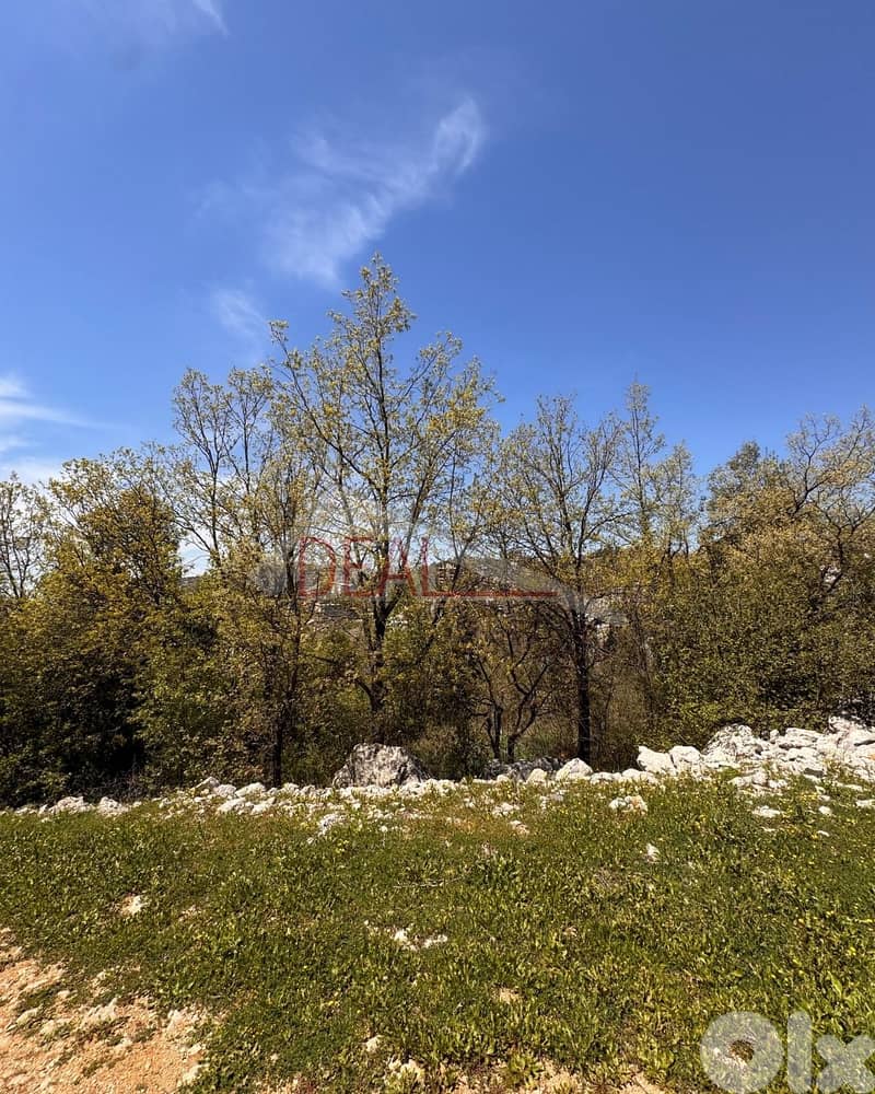 Land for sale in Beqaatet Aachqout Keserouan عقار للبيع 1