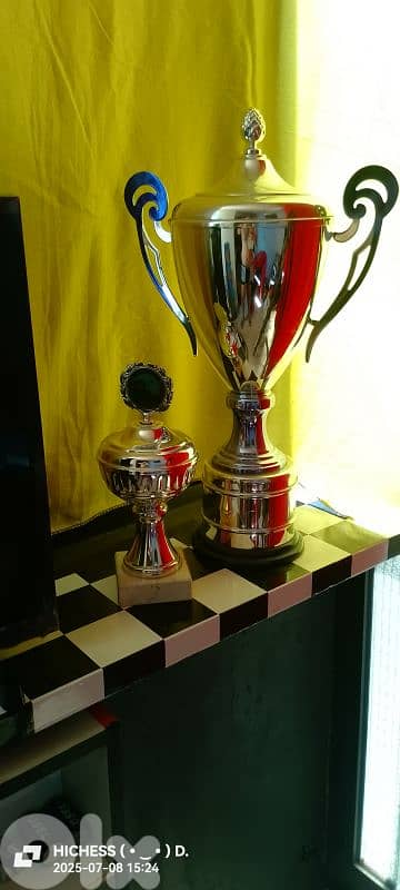 Trophy 1 Big +1 Small 4