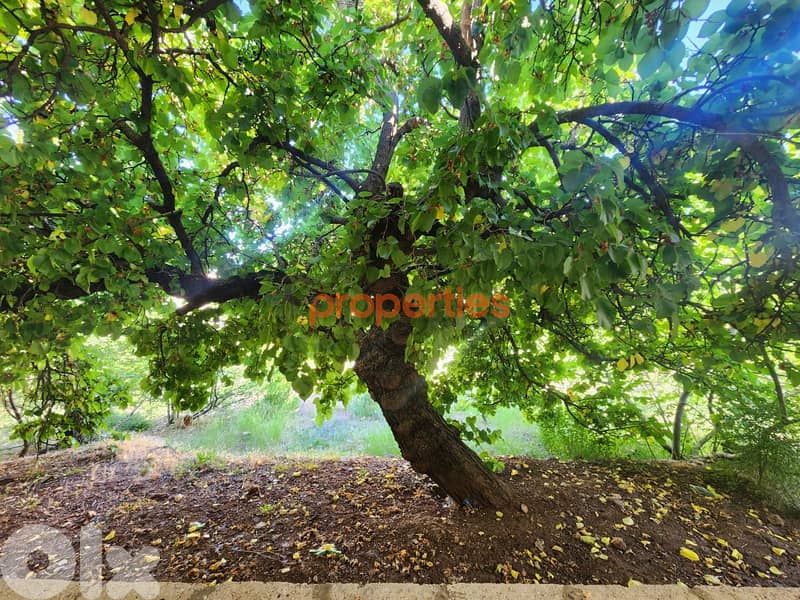 Land 1200sqm with an old house 150sqm for sale in Hrajel - CPKRH21 1