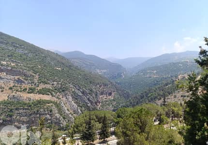 Land for sale in Kousba-Koura أرض للبيع في كوسبا-الكورة