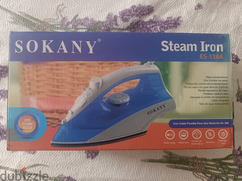 steam iron 2