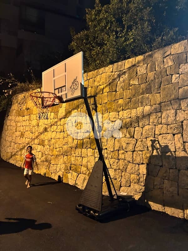 Portable basketball hoop 140 cm x 80 cm 0