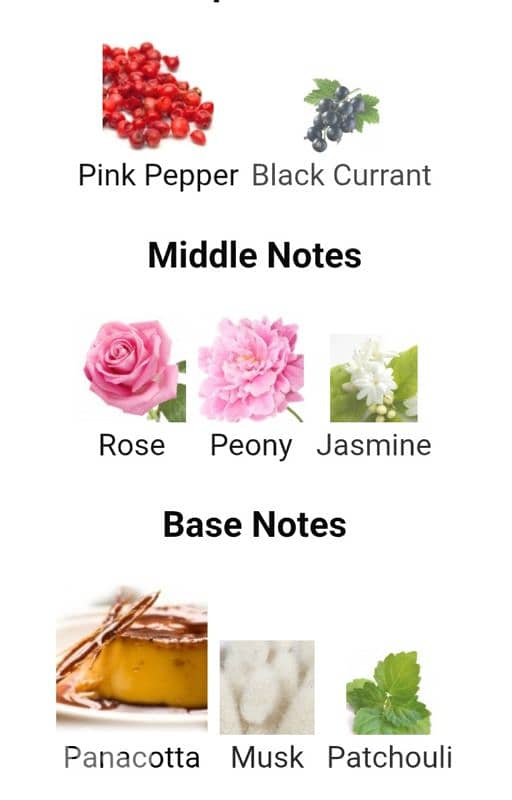 SALVATORE Ferragamo Signorina  50 ML Edt 1