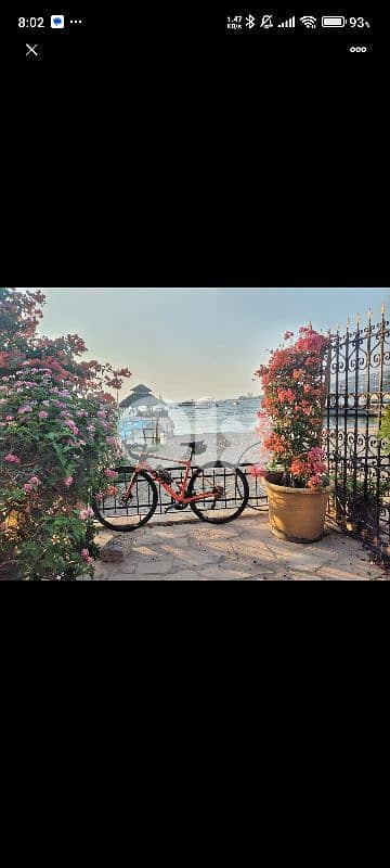 GIANT 2018 FULL CARBON 1