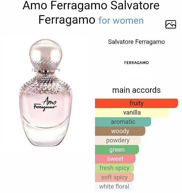 Amo Ferragamo   Eau De Parfum  100ml 1