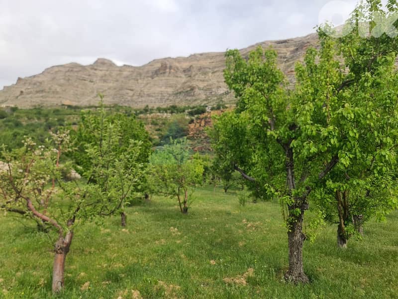 2730m2 land+mountain view 4sale in Batroun - أرض للبيع في البترون 0