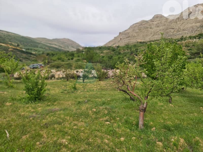 2730m2 land+mountain view 4sale in Batroun - أرض للبيع في البترون 1