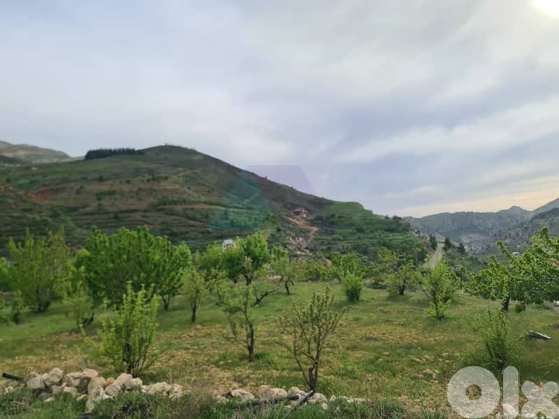 2730m2 land+mountain view 4sale in Batroun - أرض للبيع في البترون 3
