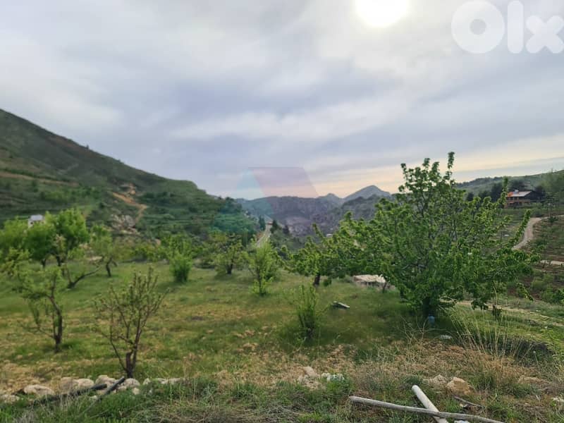 2730m2 land+mountain view 4sale in Batroun - أرض للبيع في البترون 4