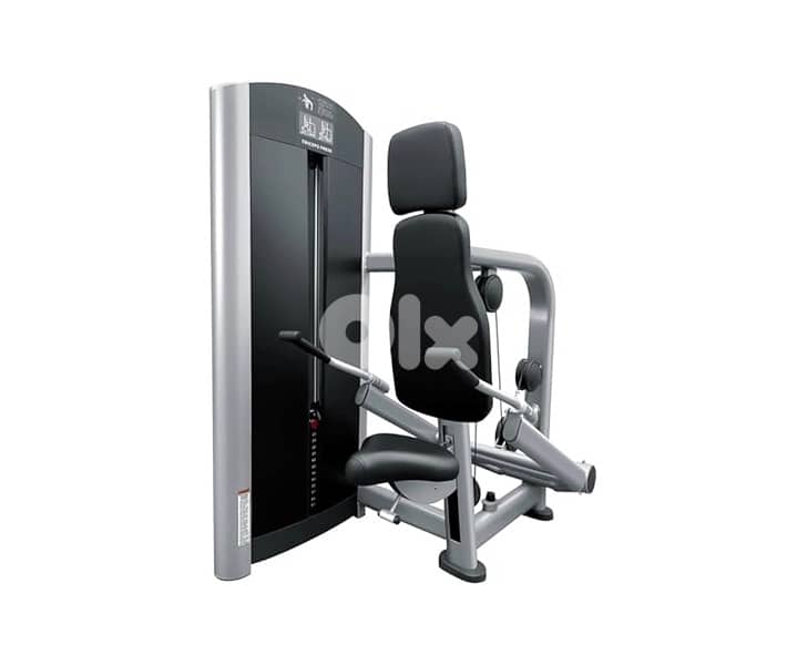 life fitness dips and triceps 0