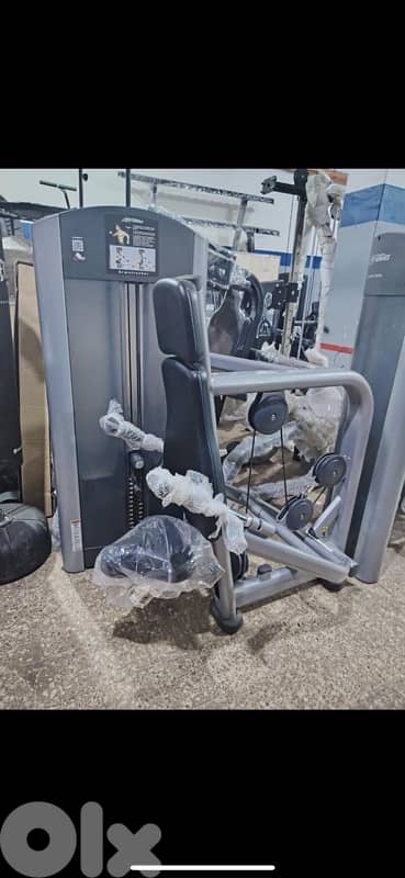 life fitness dips and triceps 1