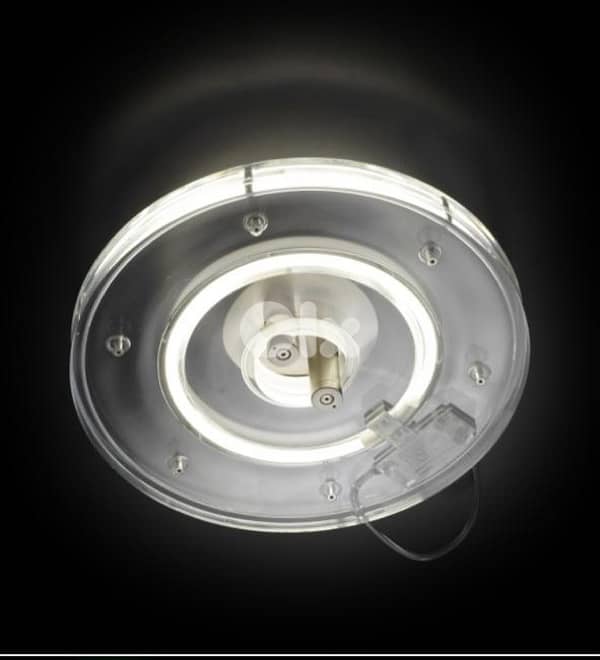 MARCO FERRERI (1958) 1