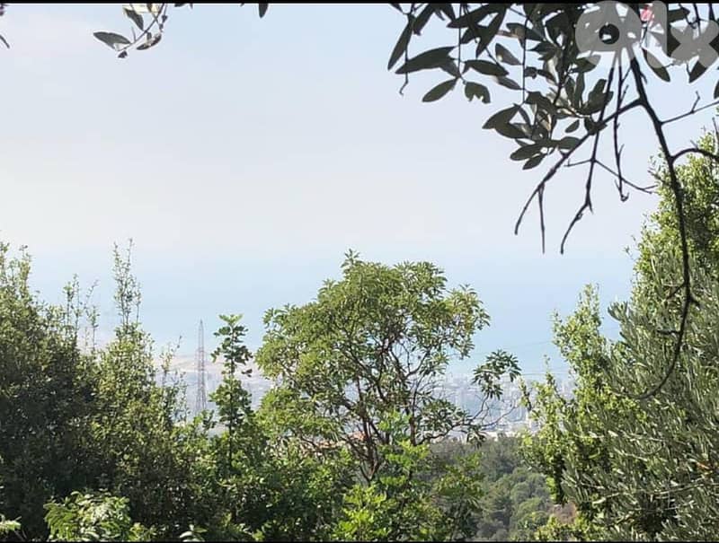 1125 m2 land+Mountain view 4sale in Ain Saadeh-أرض للبيع في عين سعادة 0