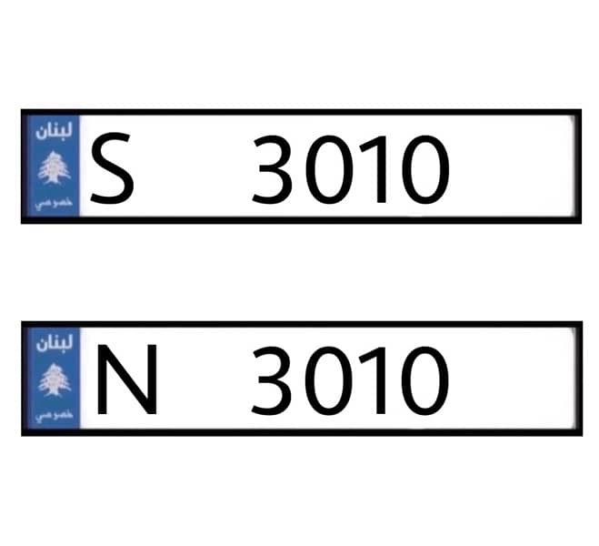 S   3010   &   N   3010 0