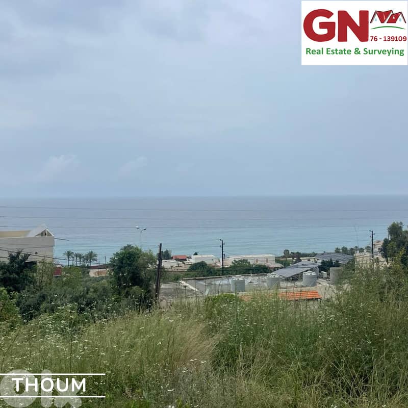 Land for Sale in Thoum Batroun أرض للبيع في تحوم البترون 0