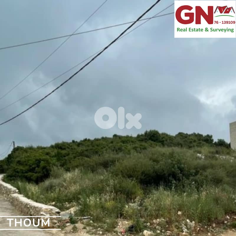 Land for Sale in Thoum Batroun أرض للبيع في تحوم البترون 1