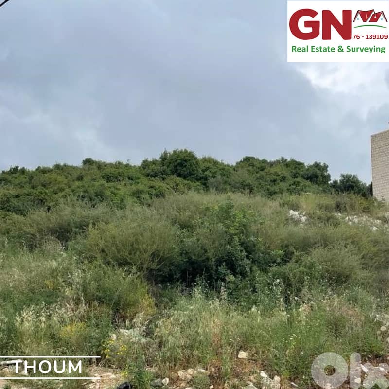 Land for Sale in Thoum Batroun أرض للبيع في تحوم البترون 2