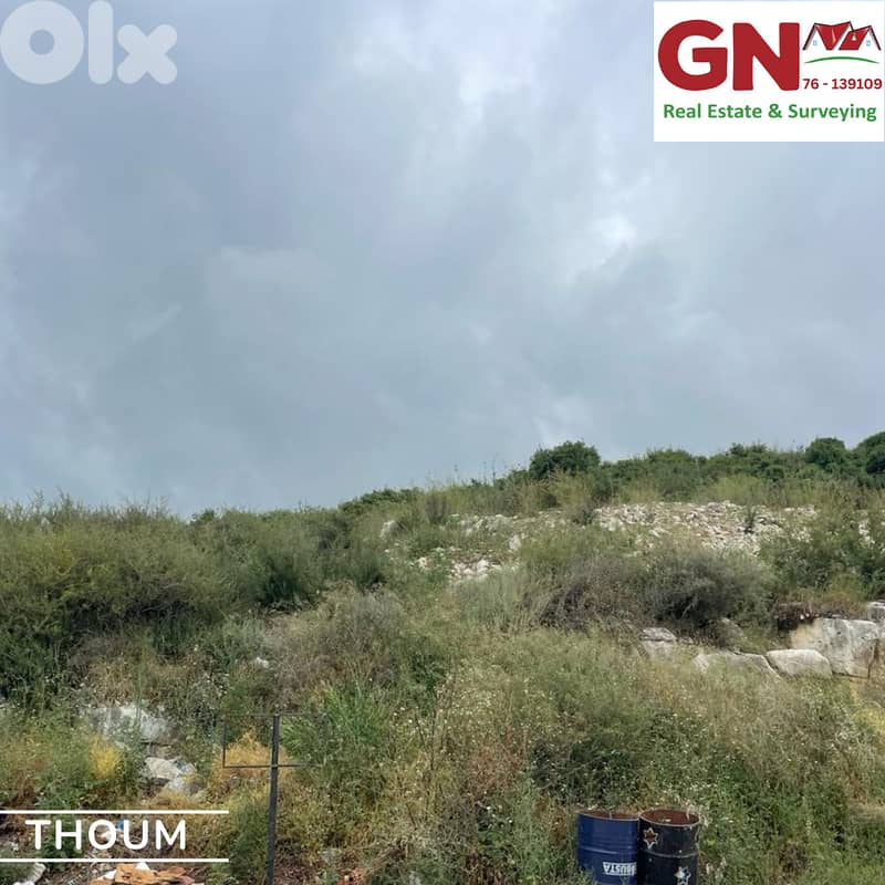 Land for Sale in Thoum Batroun أرض للبيع في تحوم البترون 3