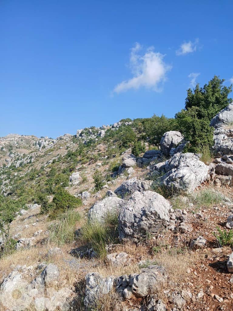 أرض للبيع في بتغرين / طريق زعرور Land for sale in Bteghrine 0