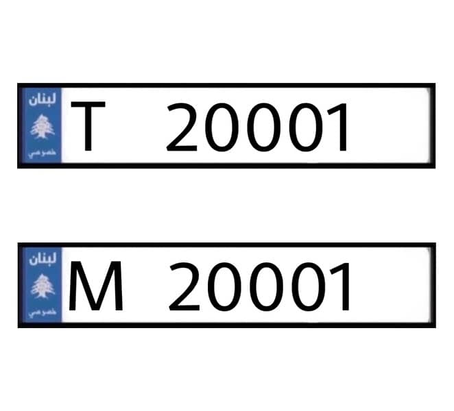 T   20001   &   M   20001 0