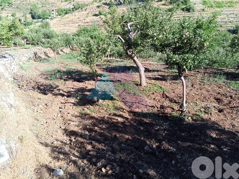 900m2 Land+mountain view 4sale in Tannourine Fawka/Batrounتنورين/بترون 2