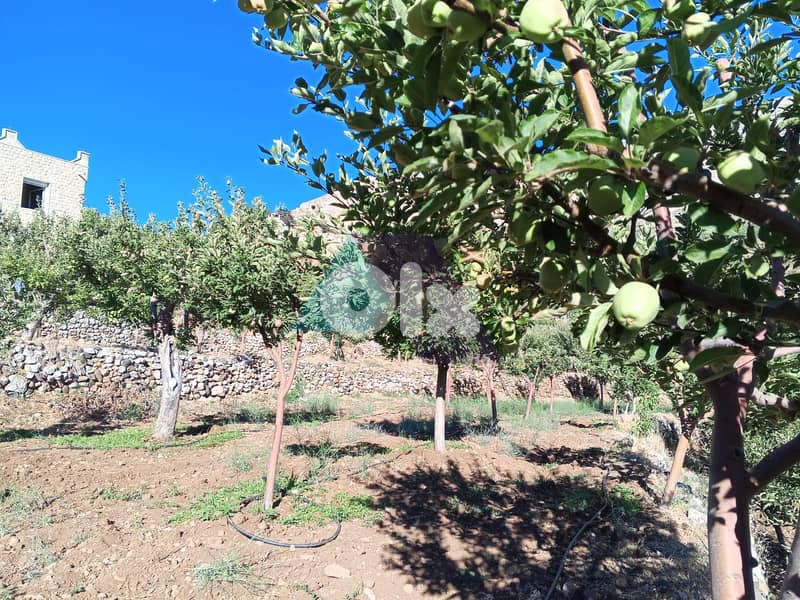 900m2 Land+mountain view 4sale in Tannourine Fawka/Batrounتنورين/بترون 3