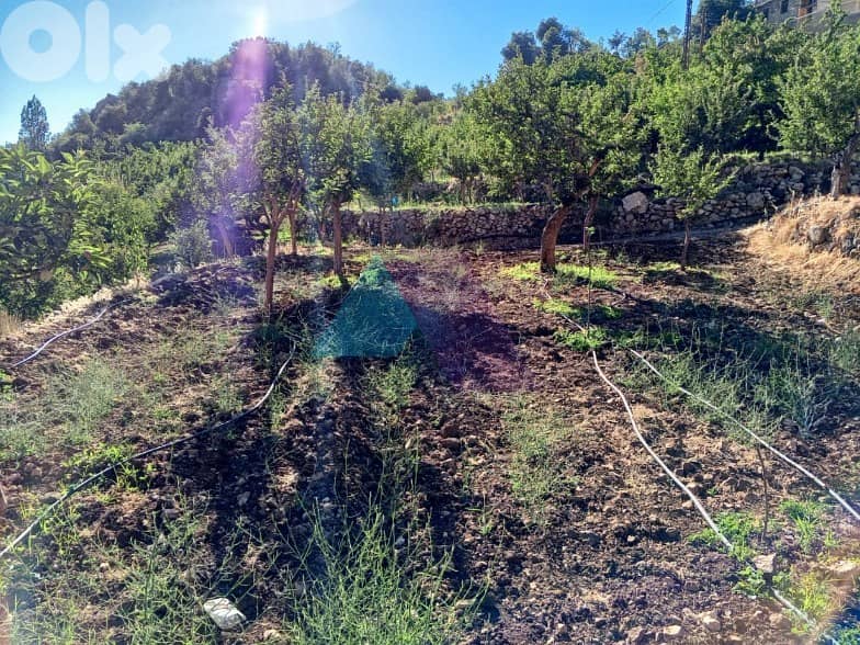 900m2 Land+mountain view 4sale in Tannourine Fawka/Batrounتنورين/بترون 4