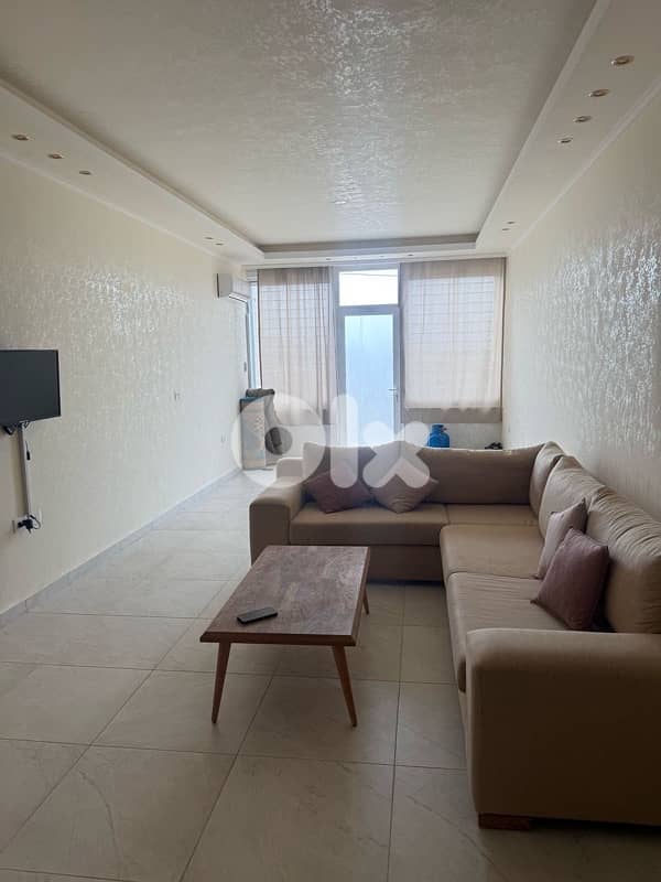 شقة مفروشة للإيجار في النبطية 0