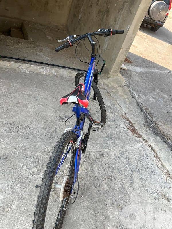 bicycle 2