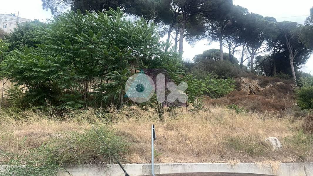 7300m2 land+mountain view 4sale in Bsous - أرض للبيع في بسوس 2