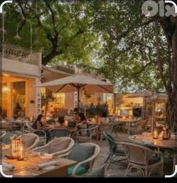 partnership for cafe resto 100 000 0