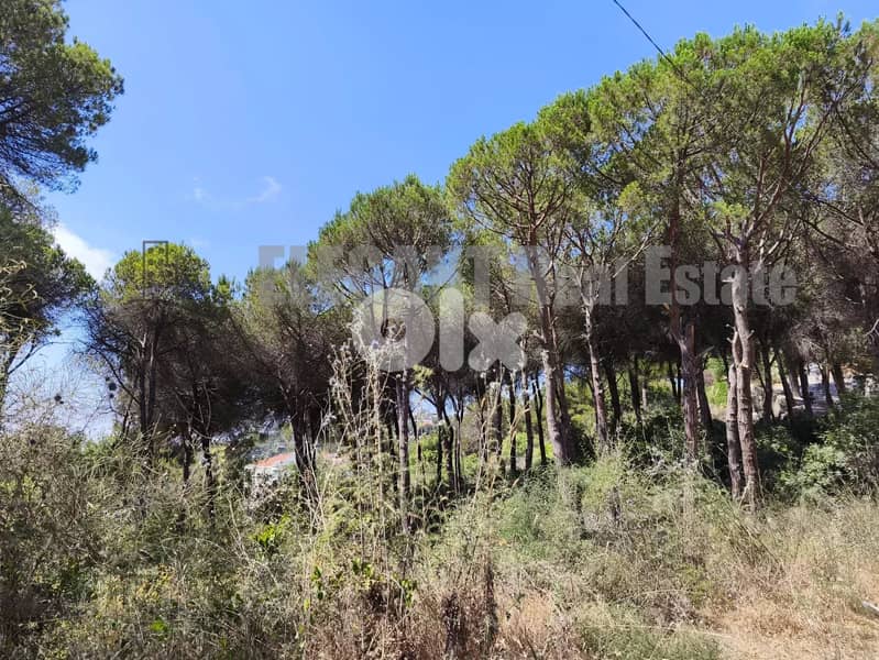 Land for Sale | Calm Surrounding | Ainab 0