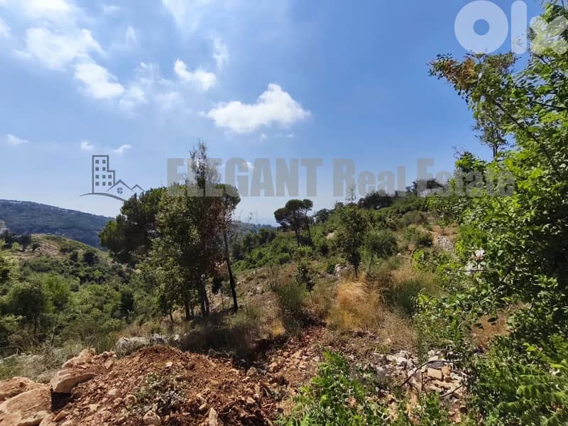 Land for Sale | Panoramic View | Ainab 0