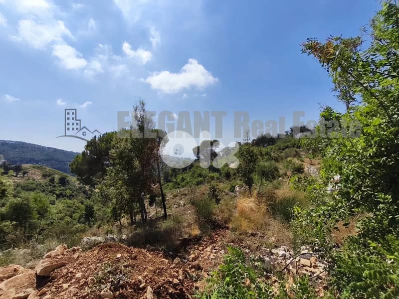 Land for Sale | Panoramic View | Ainab 0
