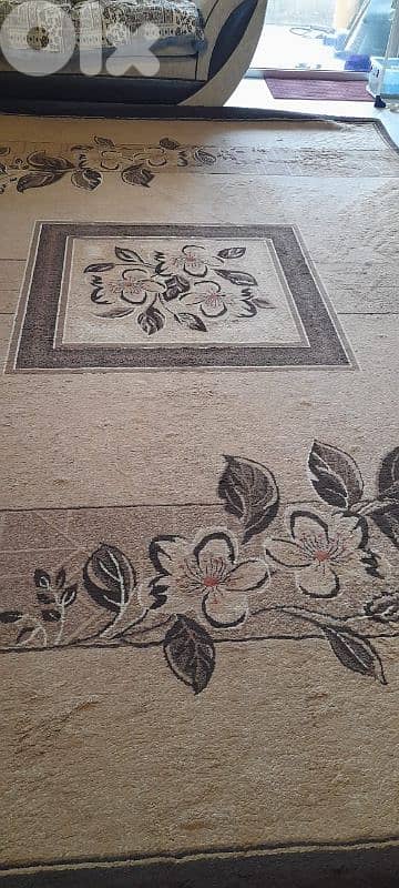 carpet living room 1