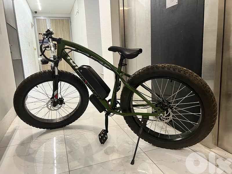 Hybrid Fat Bike 1