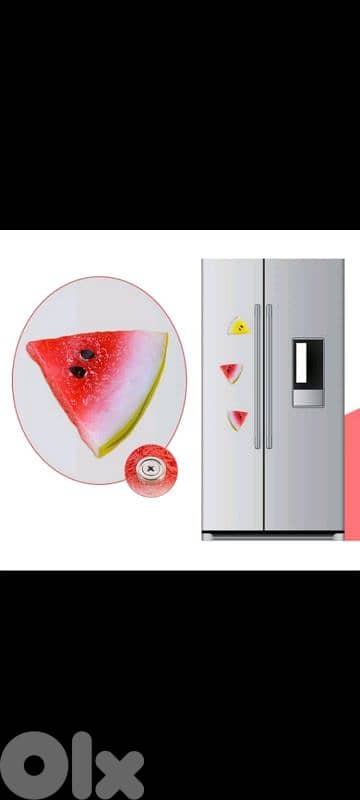 beautiful fridge magnets 0