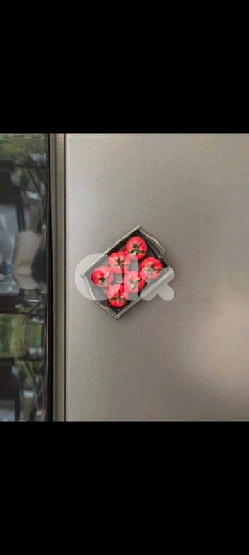 beautiful fridge magnets 4